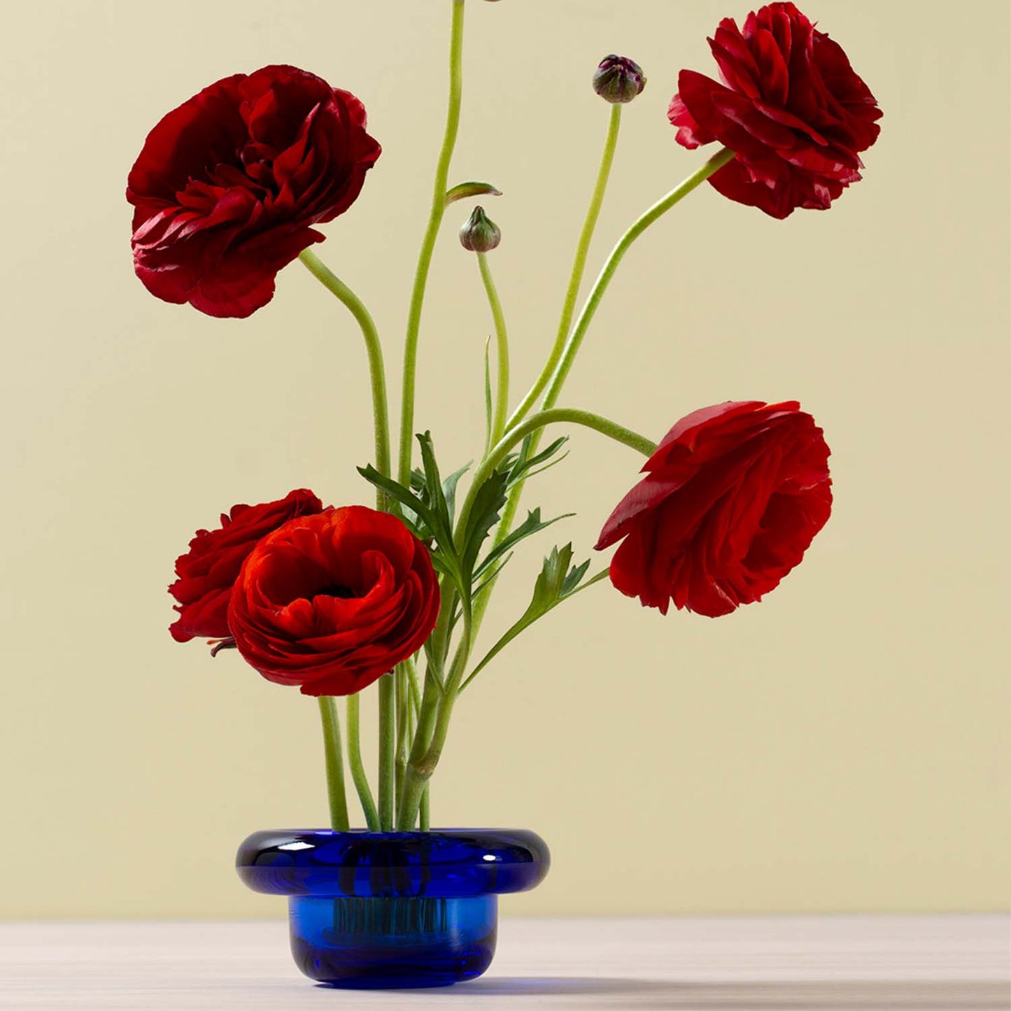 Nedre Foss Sirkel telysholder, kobolt blå.