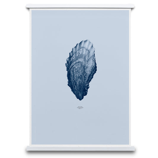 Paper Collective plakat, 1:1 Oyster ocean blue.